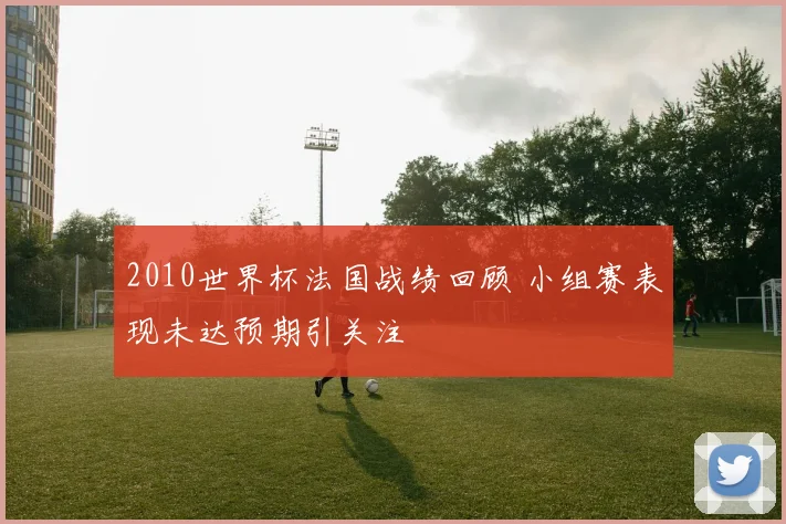 2010世界杯法国战绩回顾 小组赛表现未达预期引关注